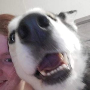 Meet your Posher, Austin